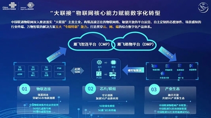 构筑“大联接”物联底座:联通雁飞如何顺风高翔?